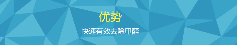 化大阳光专业甲醛治理服务优势