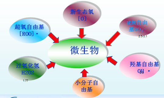 单过硫酸氢钾消毒剂办公室杀菌消毒