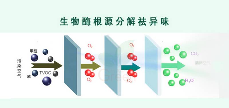 生物触媒除甲醛