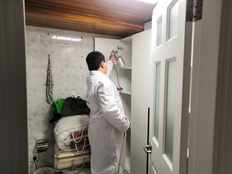 专业除甲醛公司施工现场