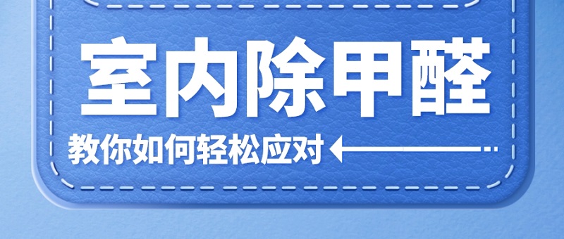 室内除甲醛方法