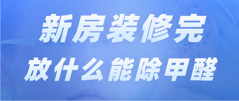 新房装修完放什么能除甲醛？最有效的五种方法